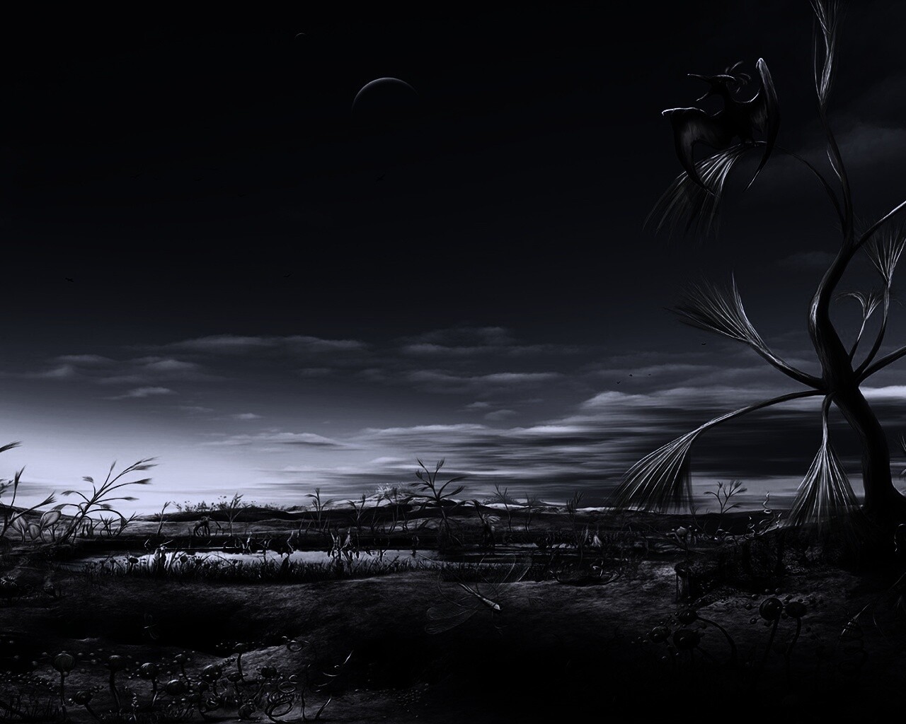 Флора и фауна другой планеты обои