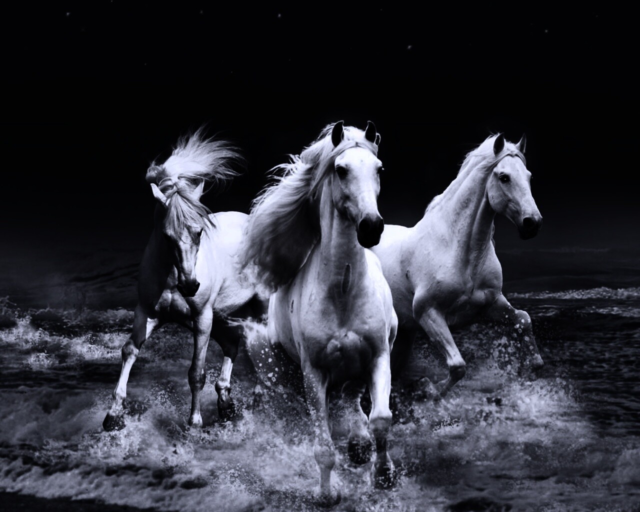 Тройка конец в море обои