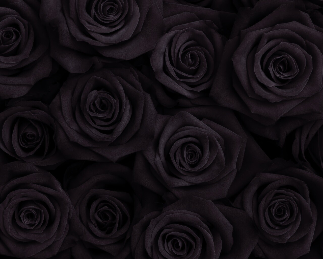 Букет красных роз обои