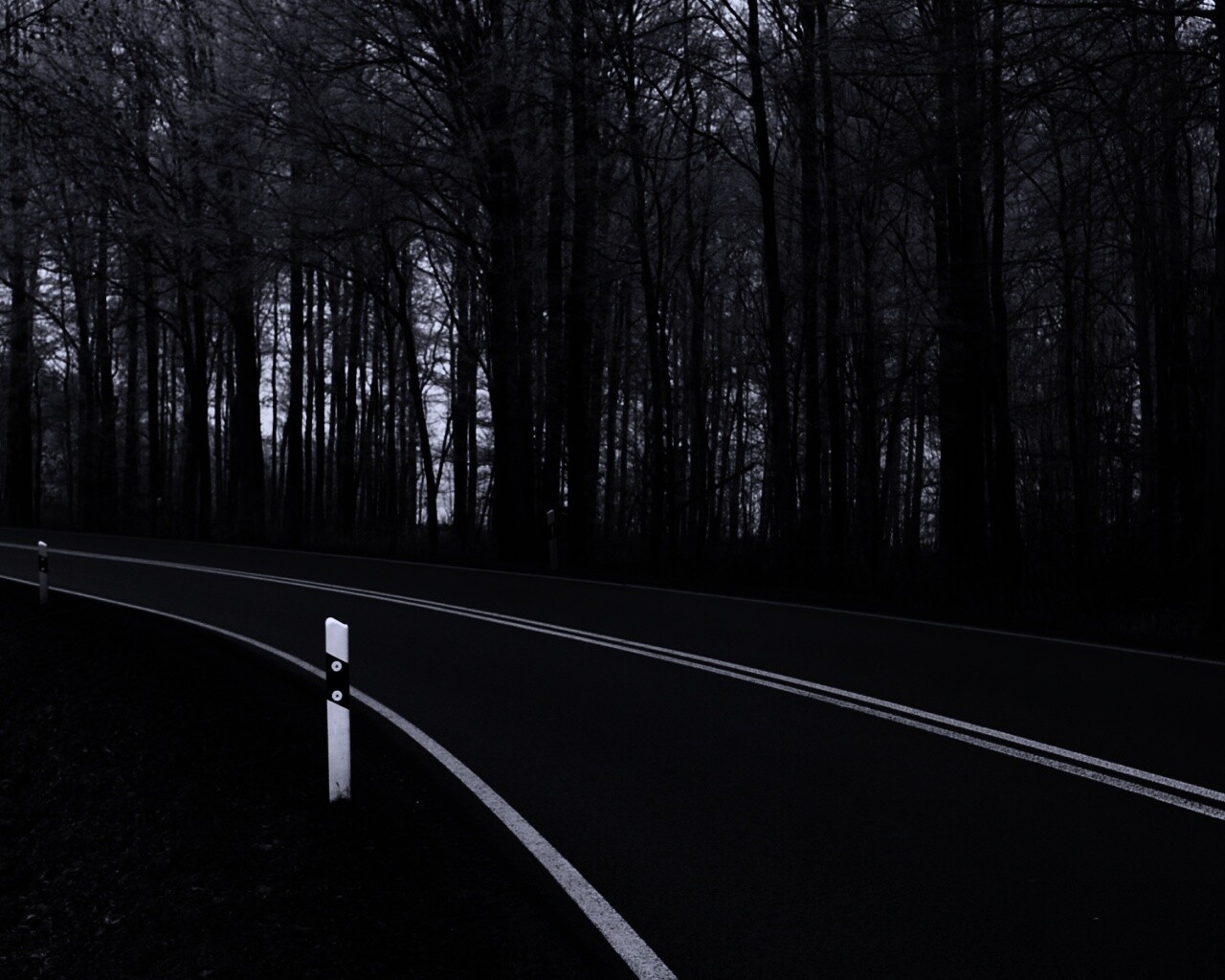 Дорога в осеннем лесу обои