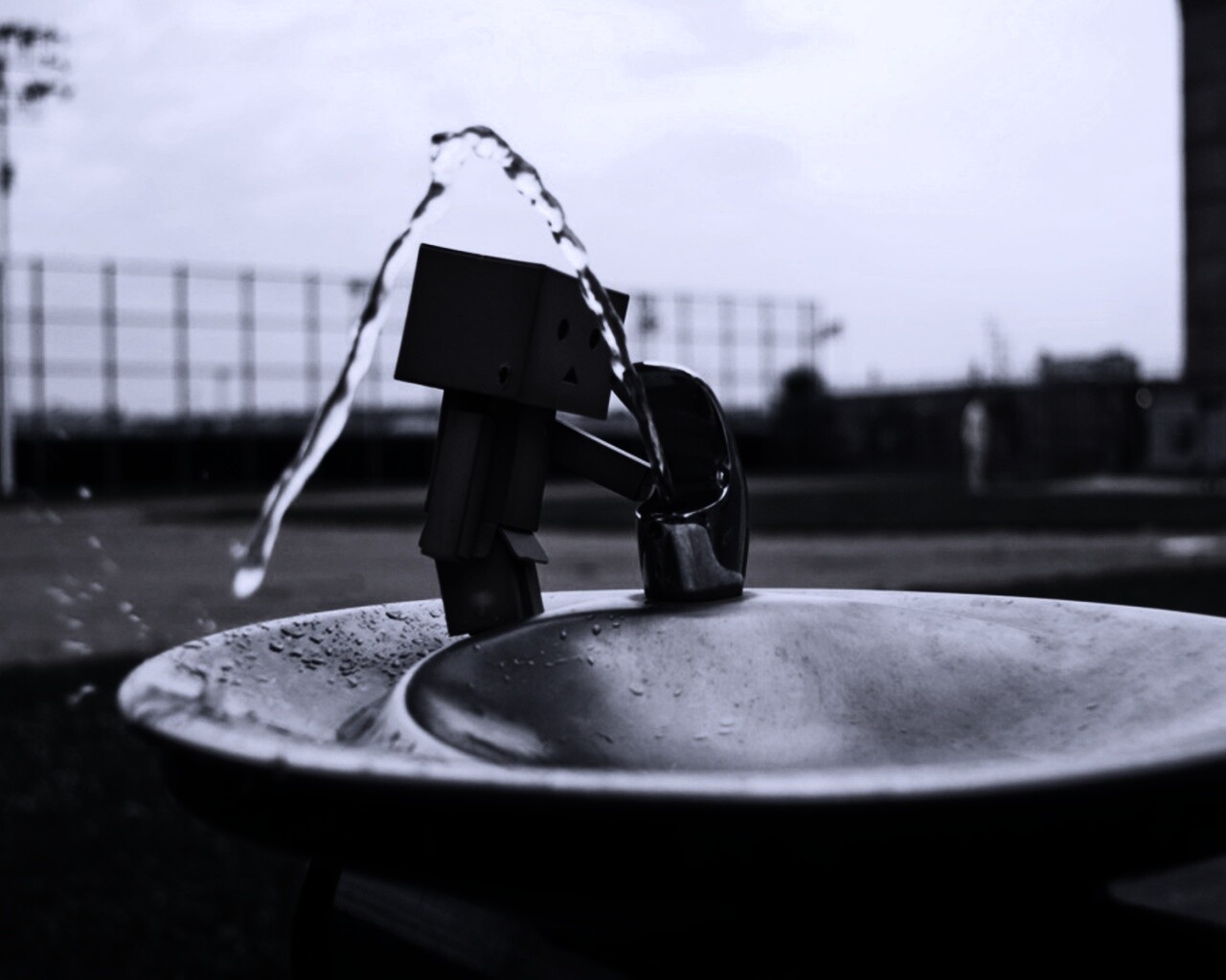 Дандо пьет в воду из фонтанчика обои