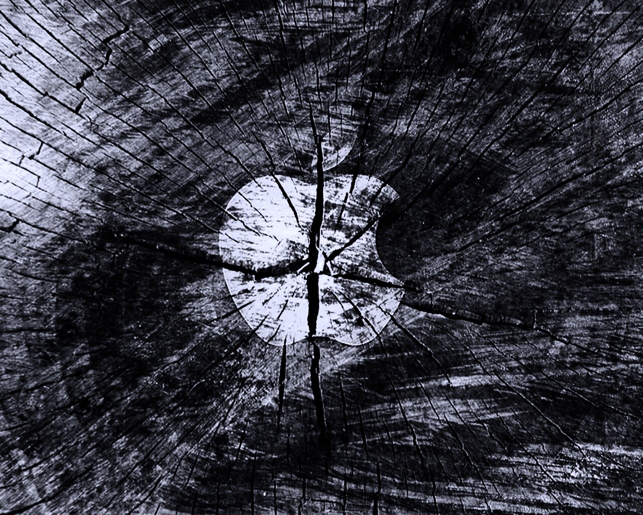 Логотип Apple на бревне обои