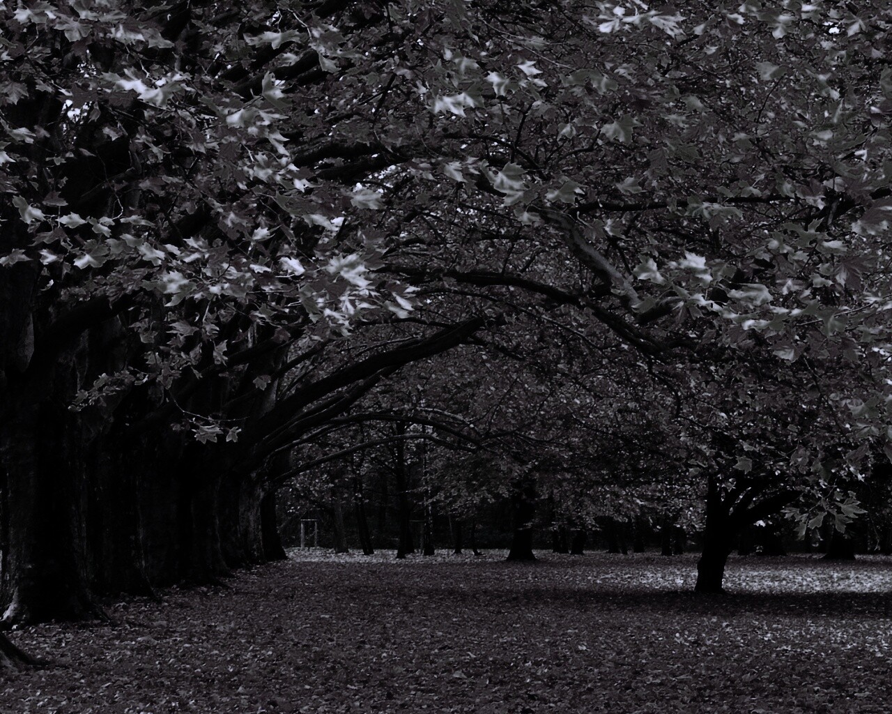 Осенний парк обои