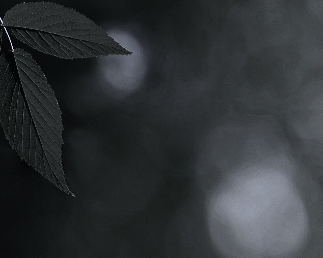 Два листа обои