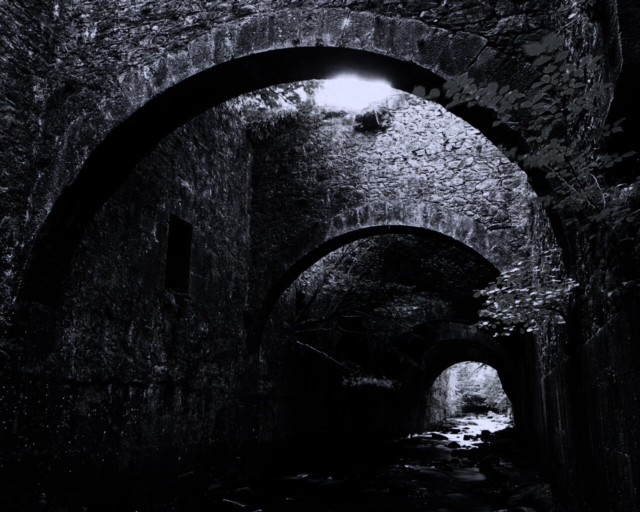 Заросшие стены обои