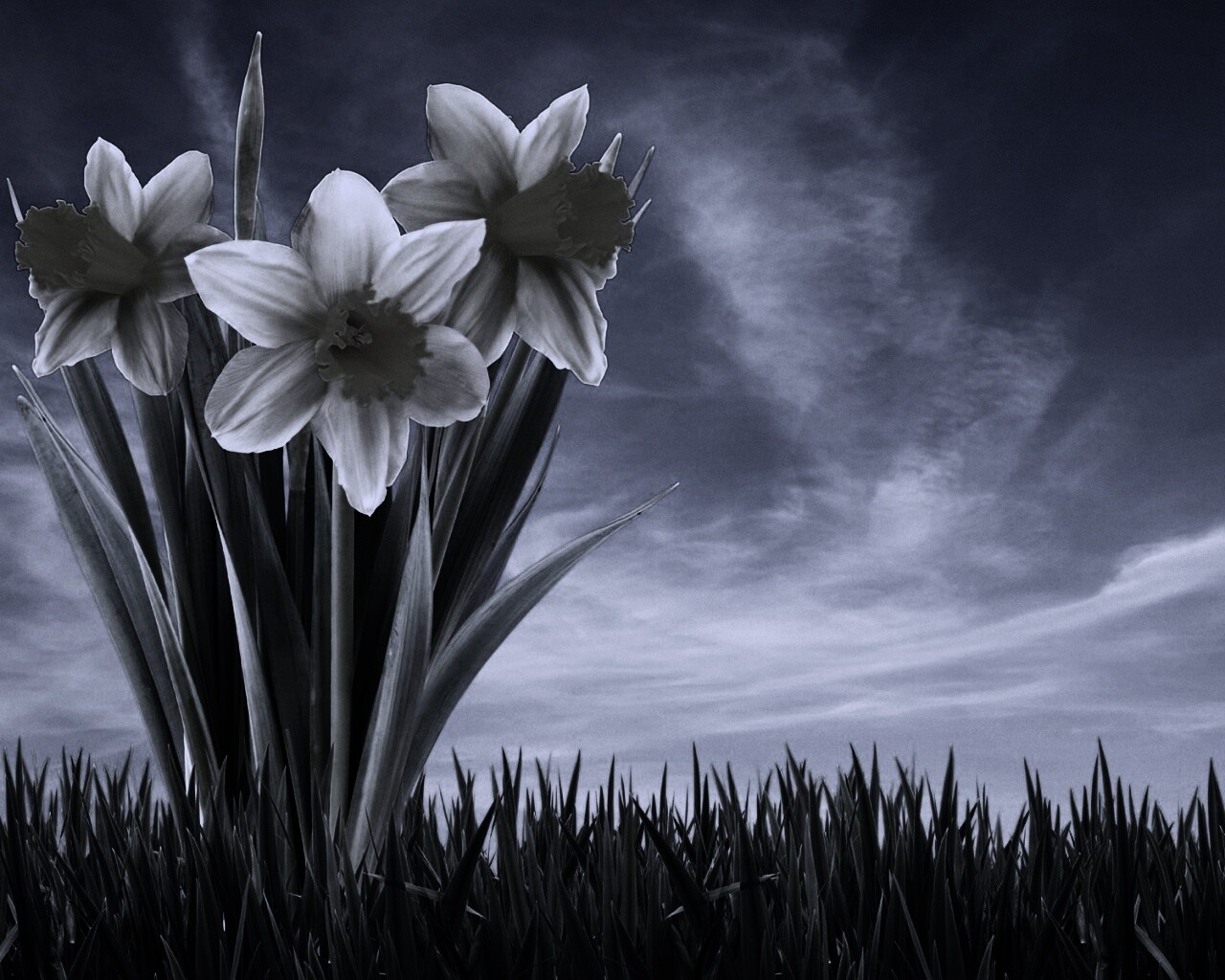 Букет цветов в траве обои