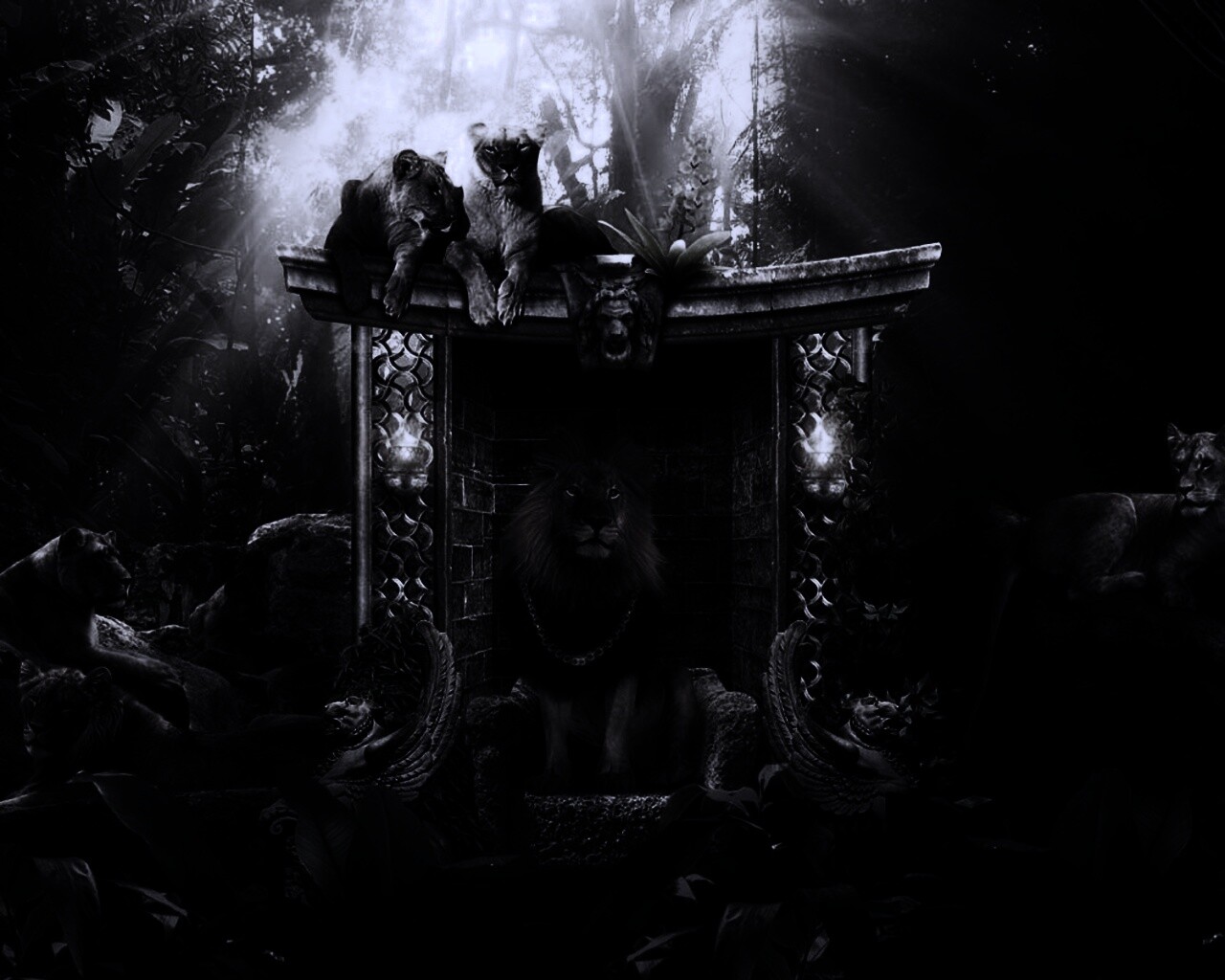 Царь зверей обои