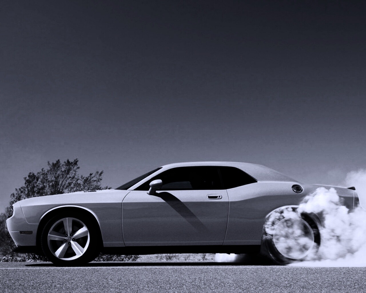 Стартующий Форд Мустанг обои