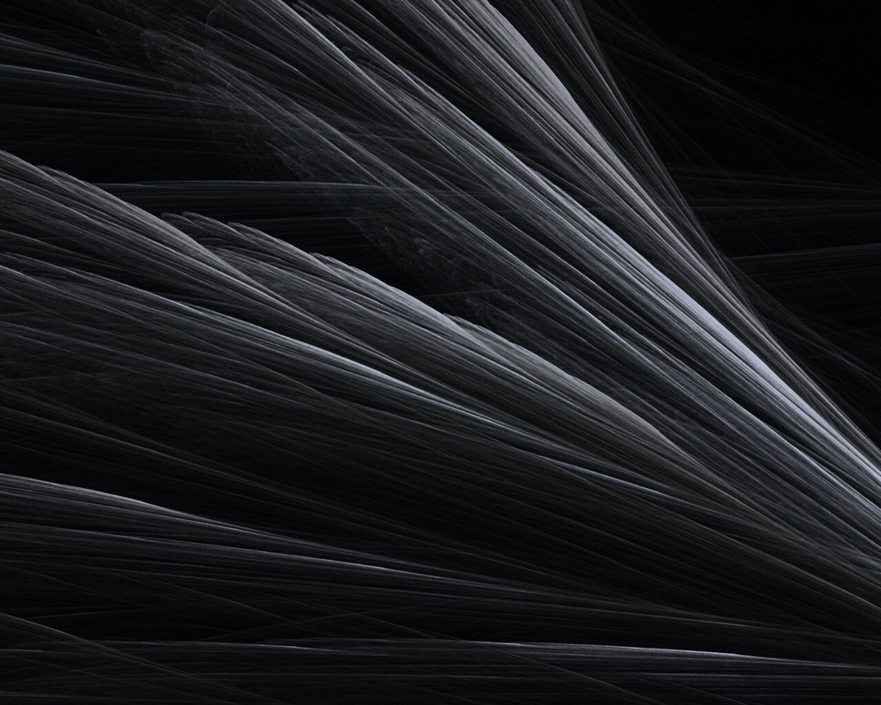 Прозрачные зеленоватые крылья обои