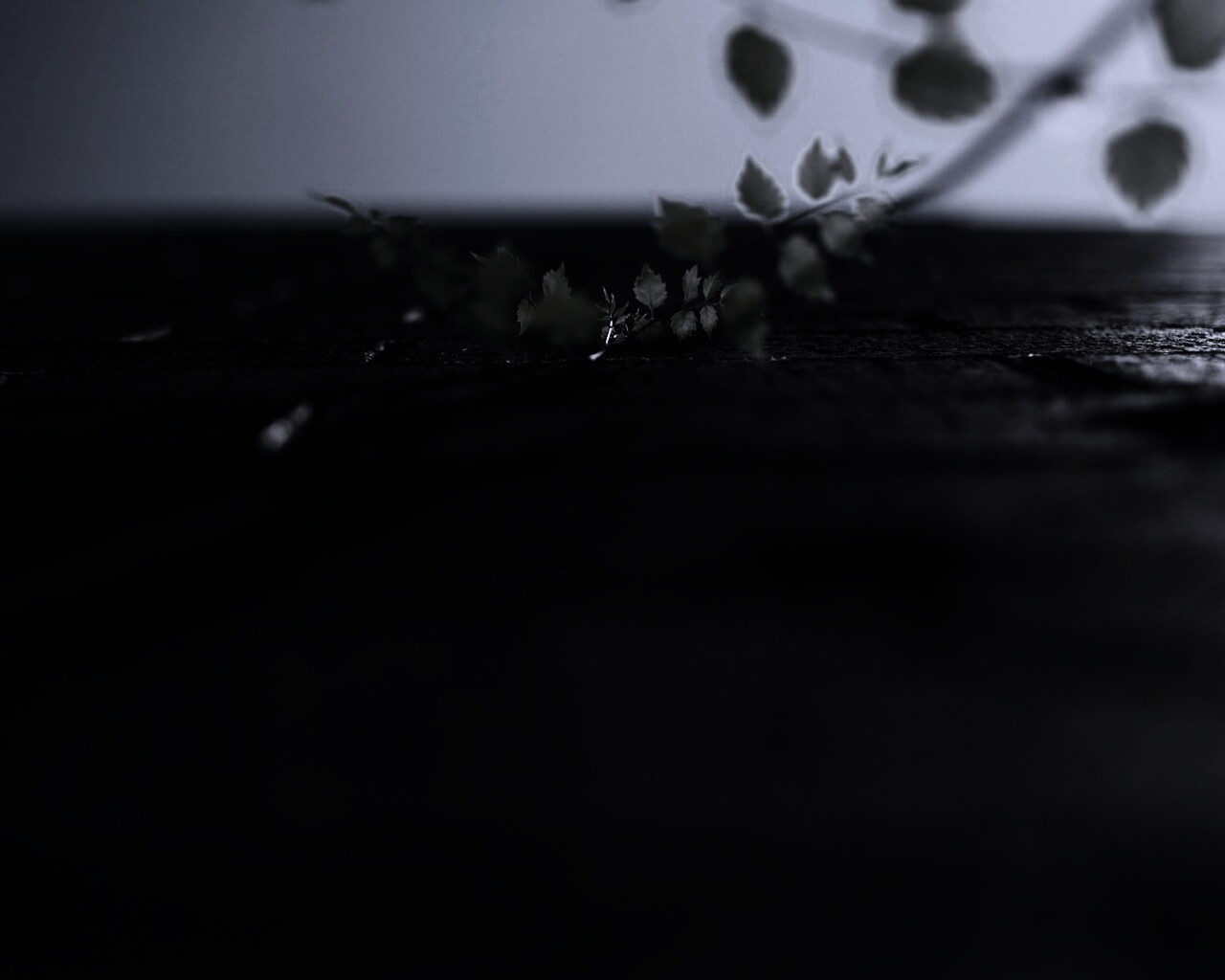 Зеленые ростки в стене обои