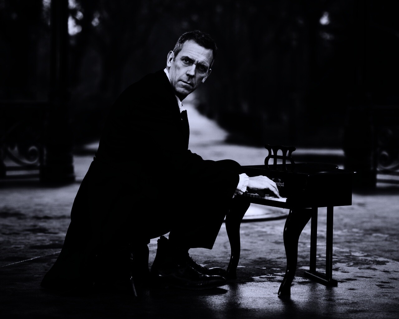 Хью Лори за маленьким роялем обои