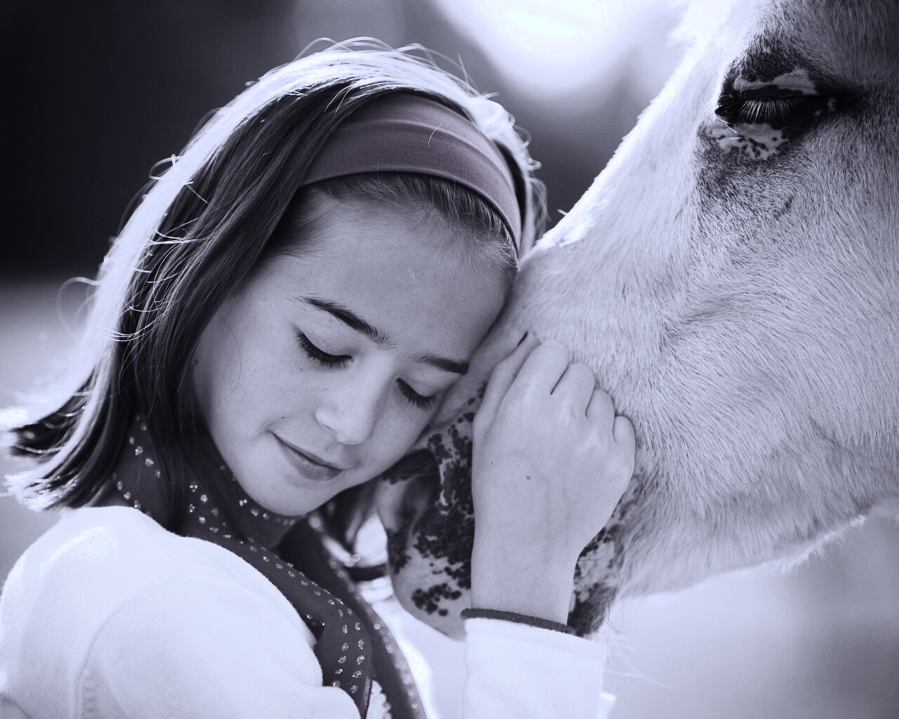 Девочка и лошадь обои