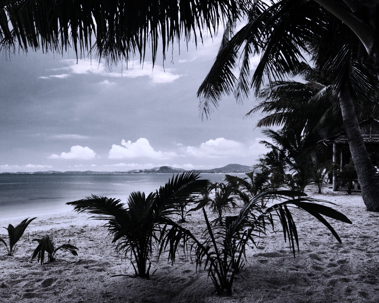 Настоящее лето обои