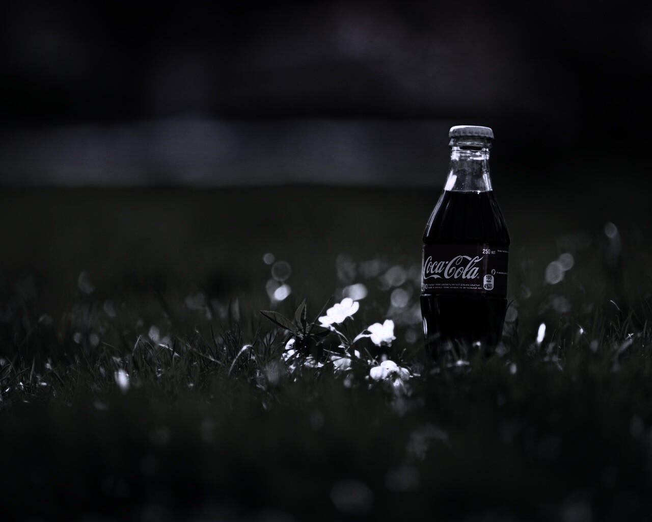 Кока-Кола на траве обои