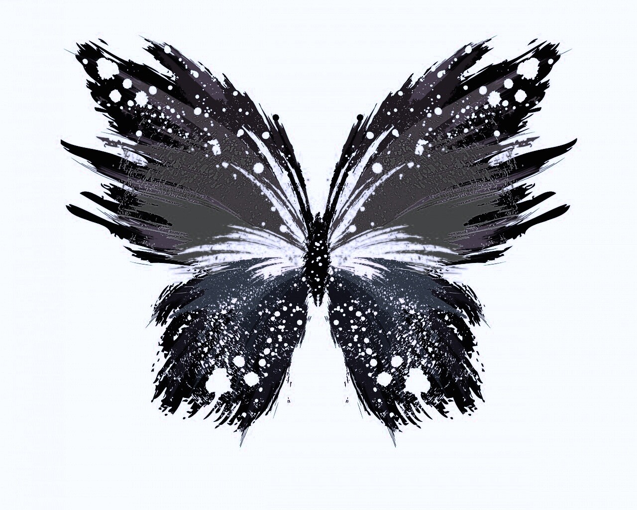 Нарисованная бабочка обои