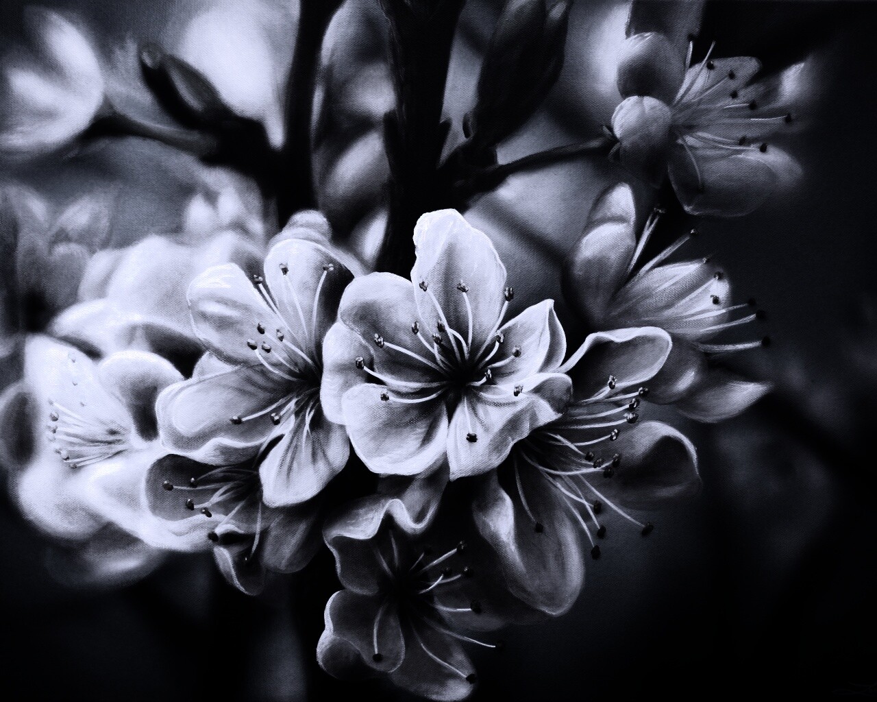 Яблоня в цвету картина обои