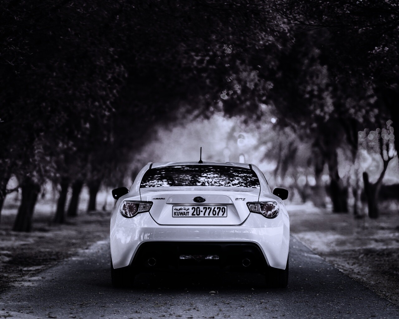 Субару на осенней дороге обои