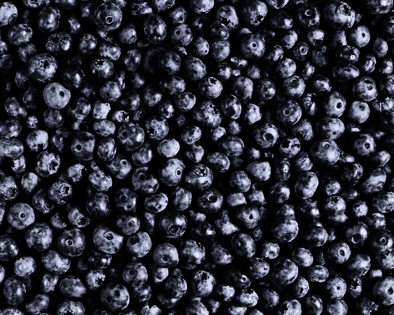 Черника обои