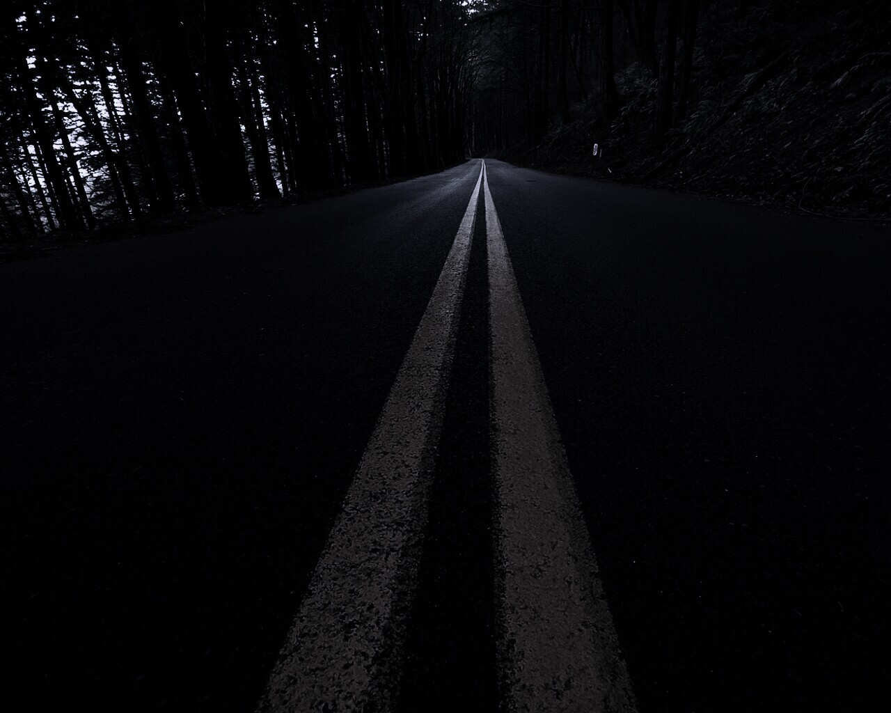 Дорога в лесу обои