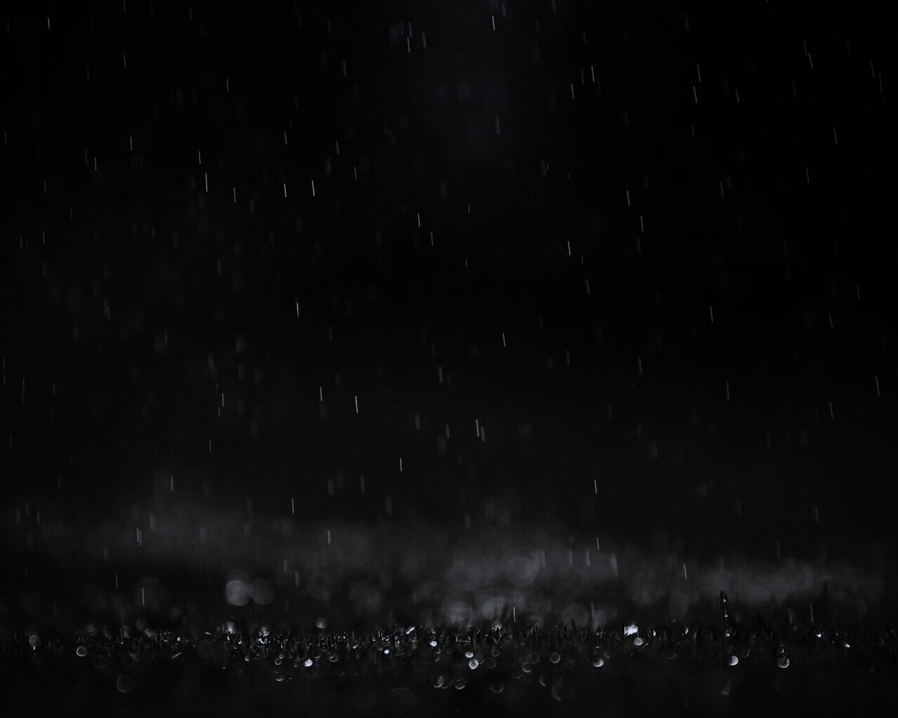 Трава под дождем обои