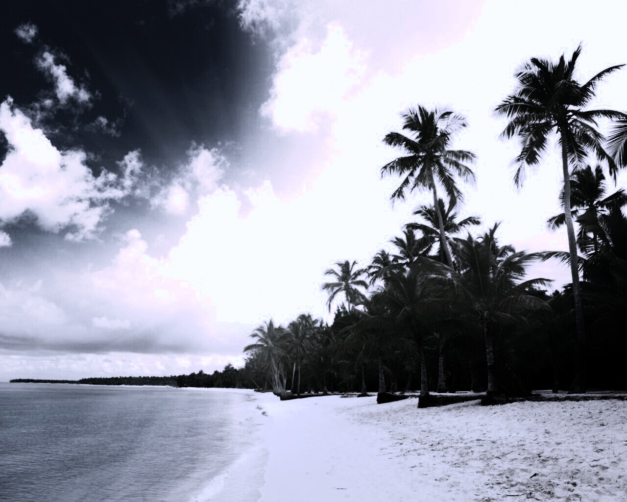 Тропическое побережье обои