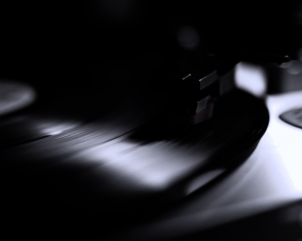 Пластинка обои