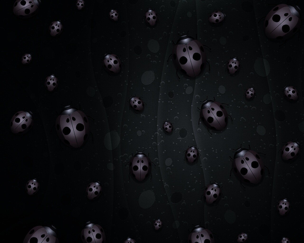 Божьи коровки обои