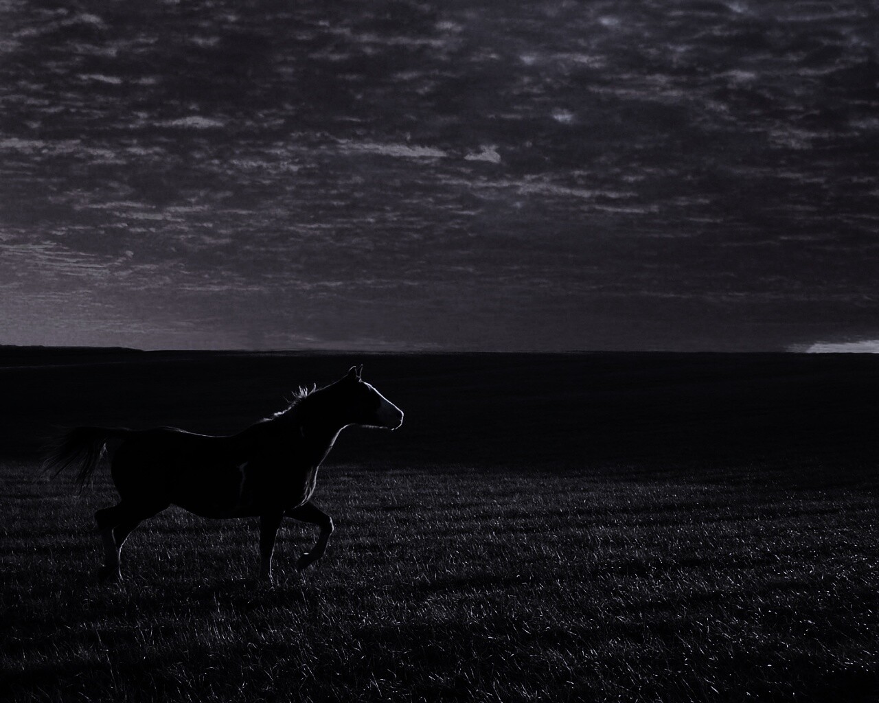 Мустанг обои