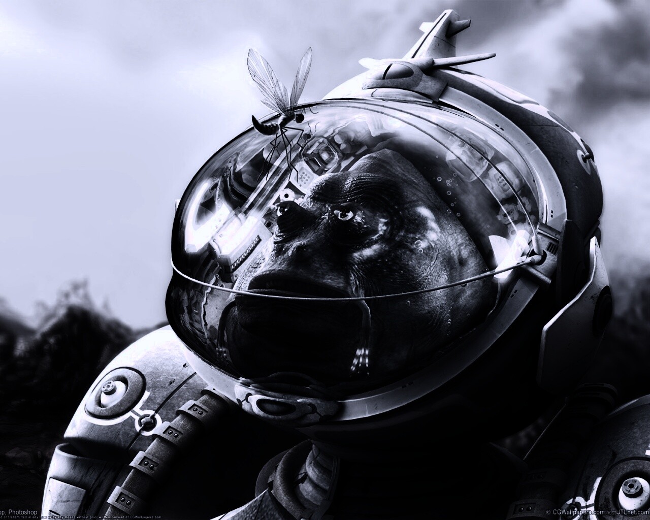 Инопланетянин и стрекоза обои