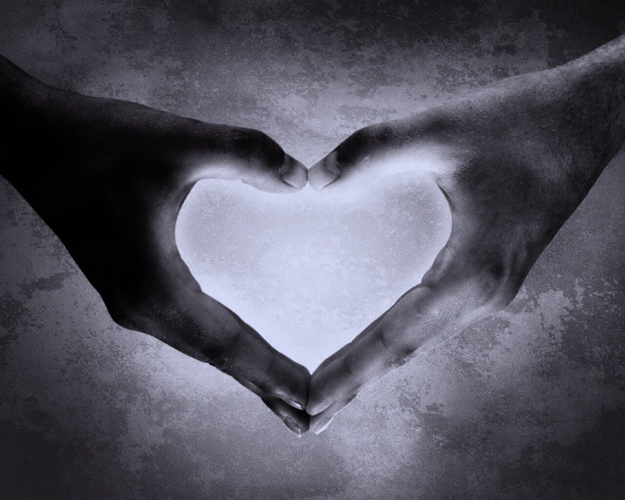 Сердце из сложенных рук обои