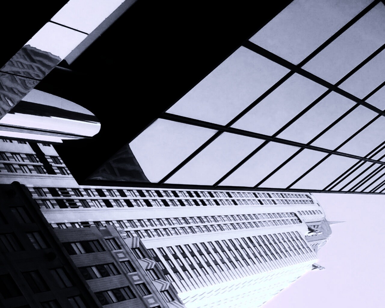 Взгляд вверх обои