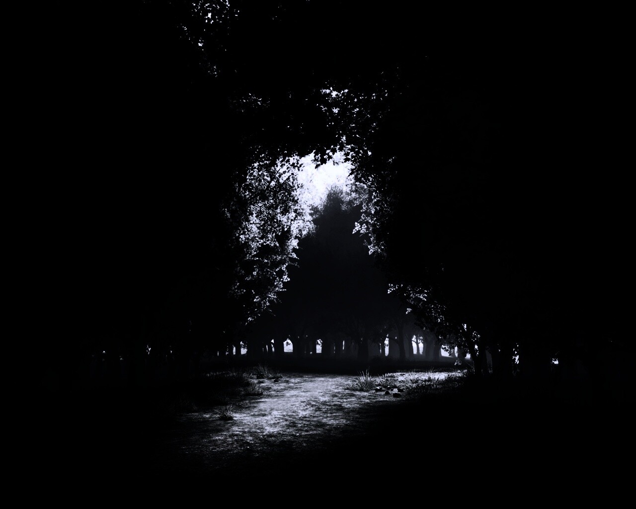 Сумерки в волшебном лесу обои