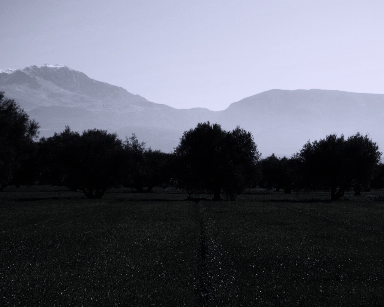 Зеленое поле обои