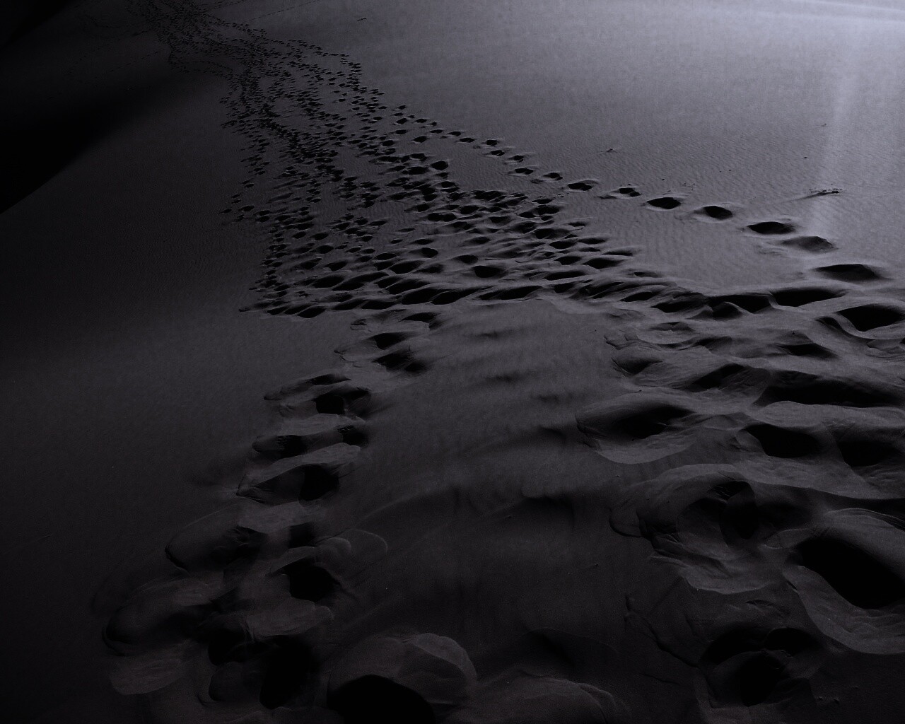 Следы в пустыне обои