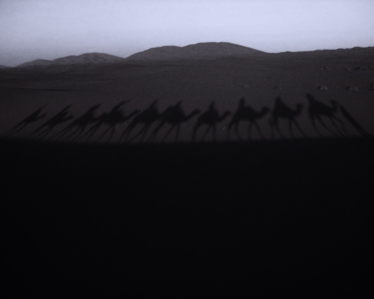 Караван обои