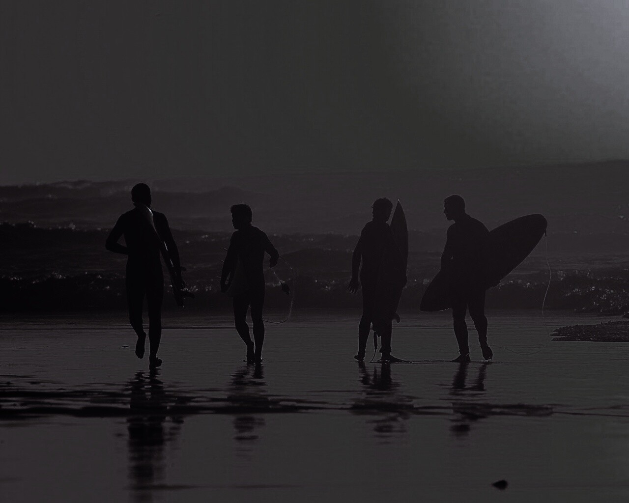 Серфингисты обои