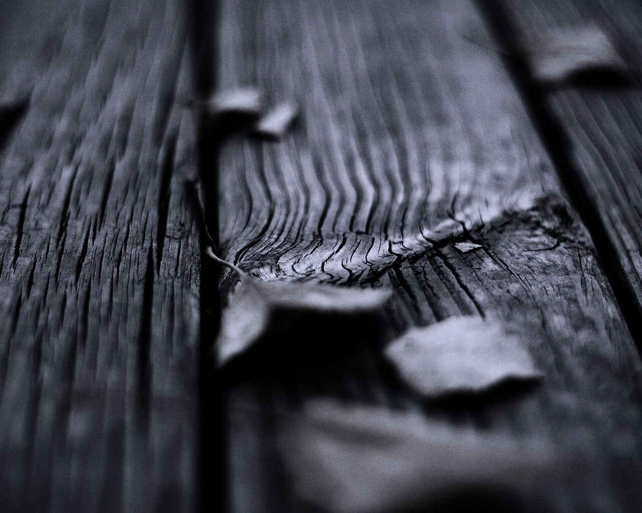 Листья на дощатом полу обои