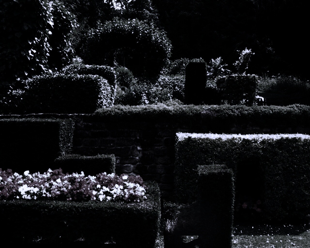 Декоративный сад обои