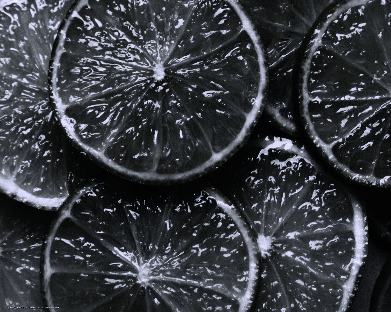 Зеленый лайм обои