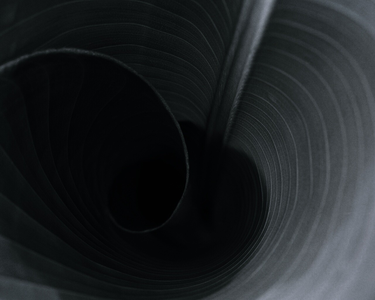 Зеленый лист трубочкой обои