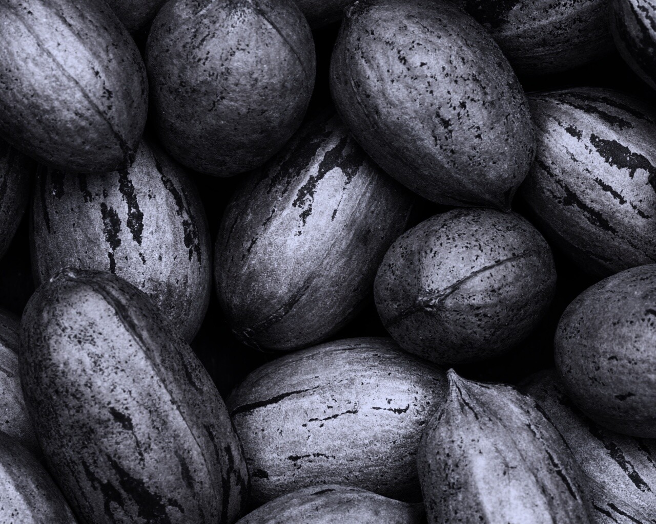 Грецкие орехи обои