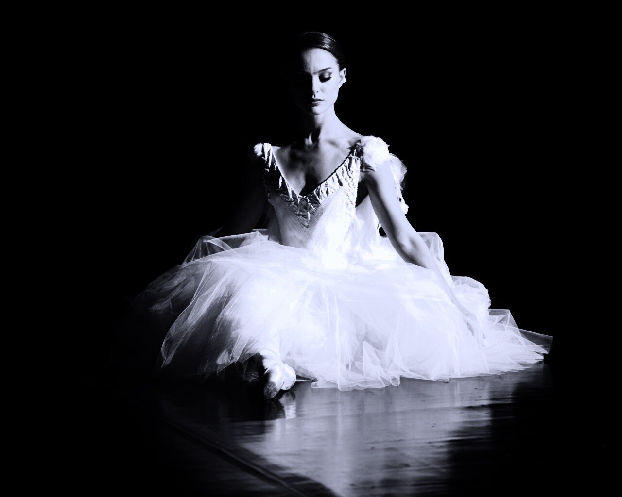 Черный лебедь обои