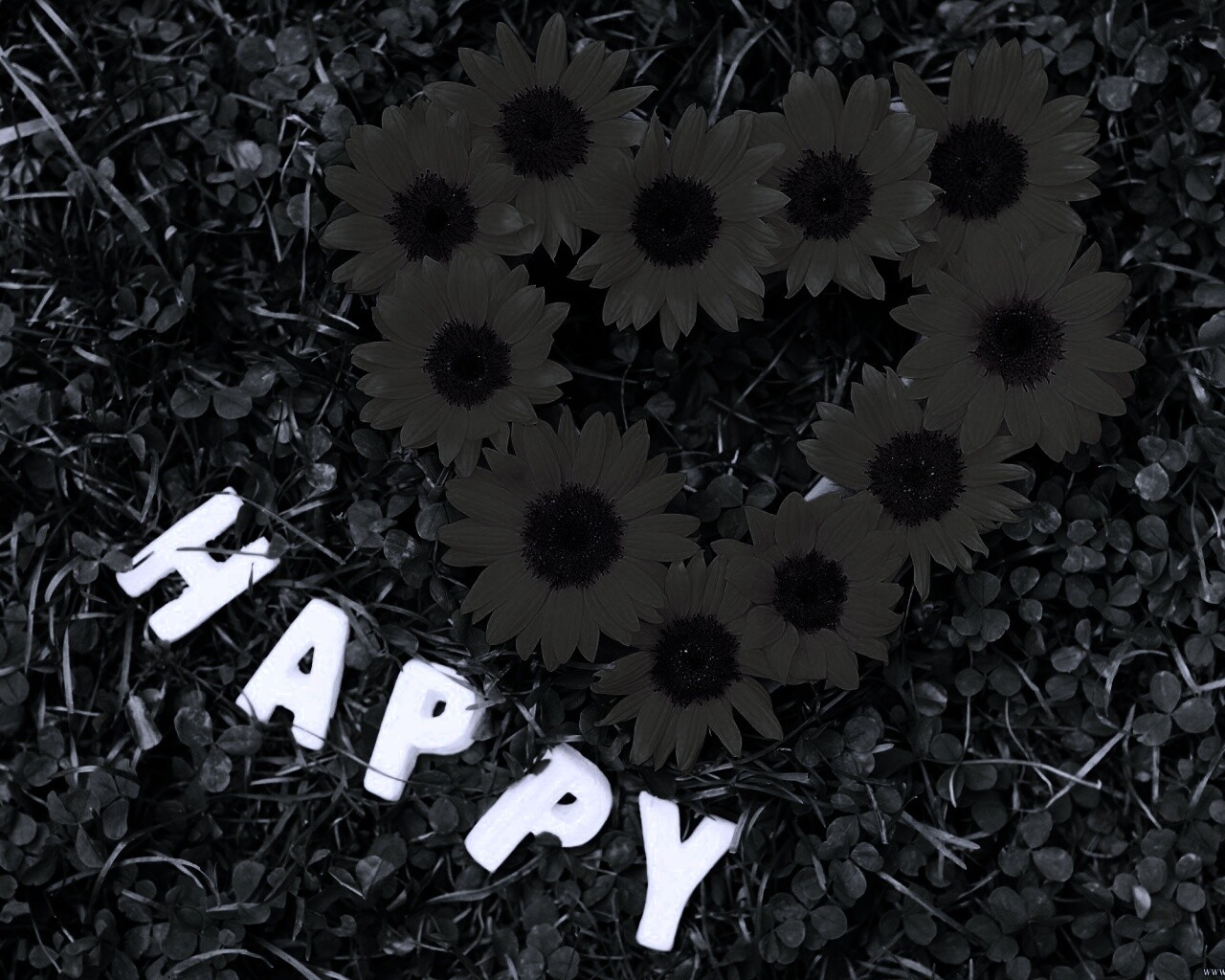 Радость обои