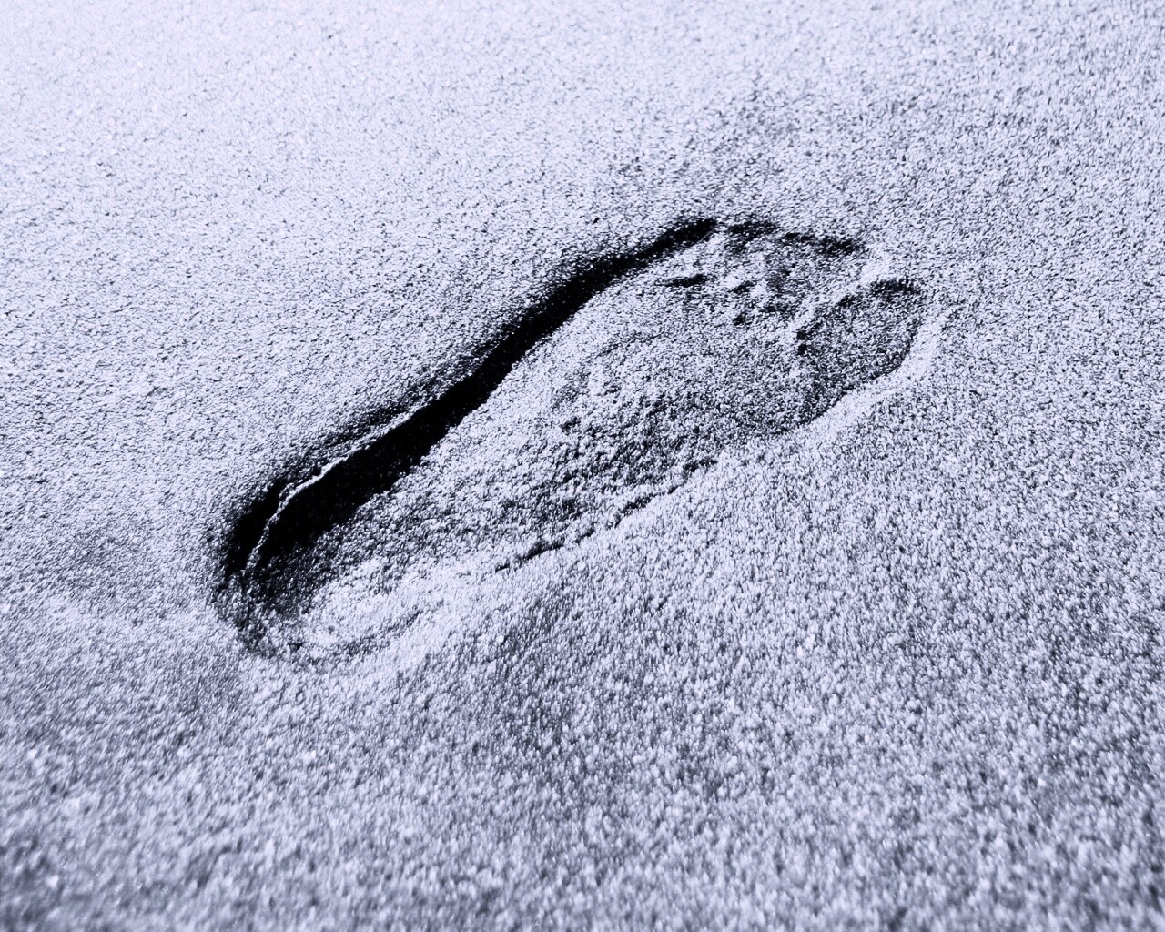 Отпечаток ноги обои