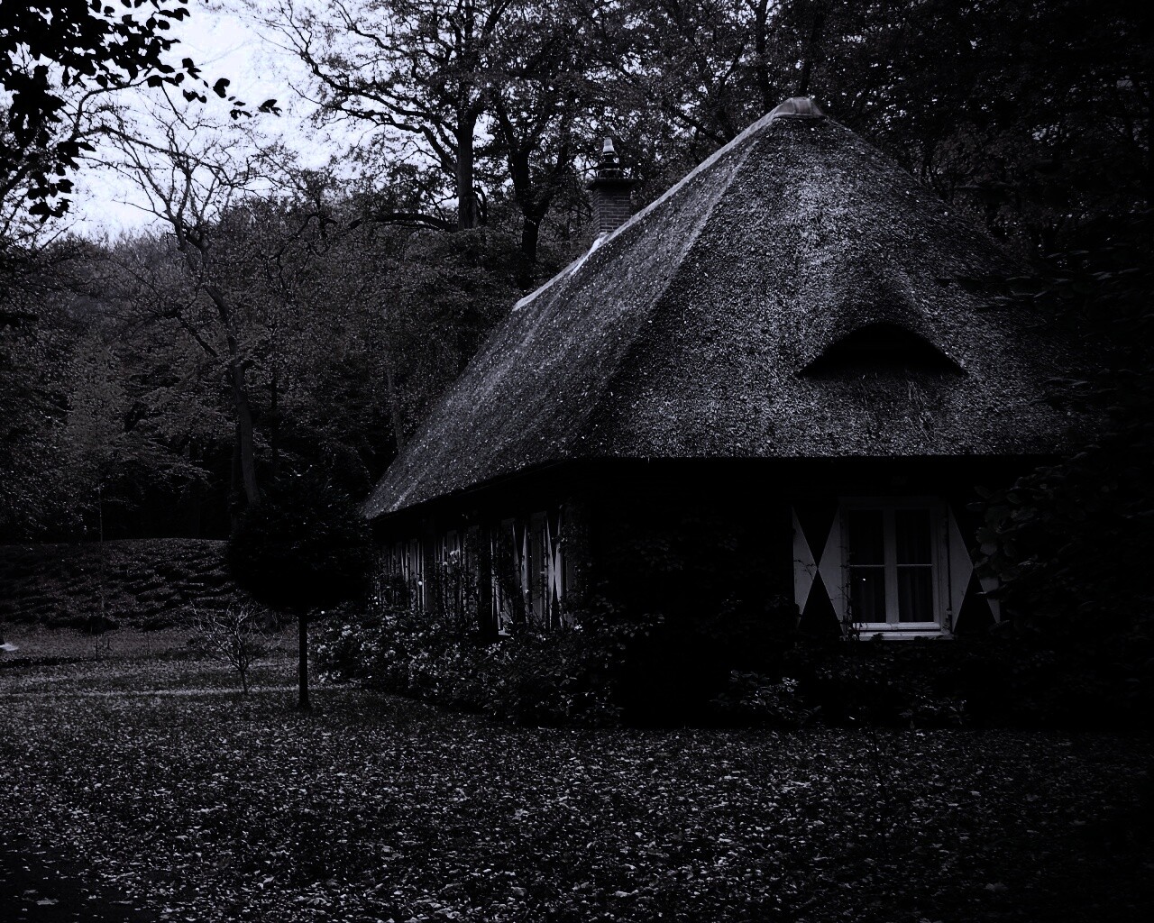 Домик в осеннем лесу обои