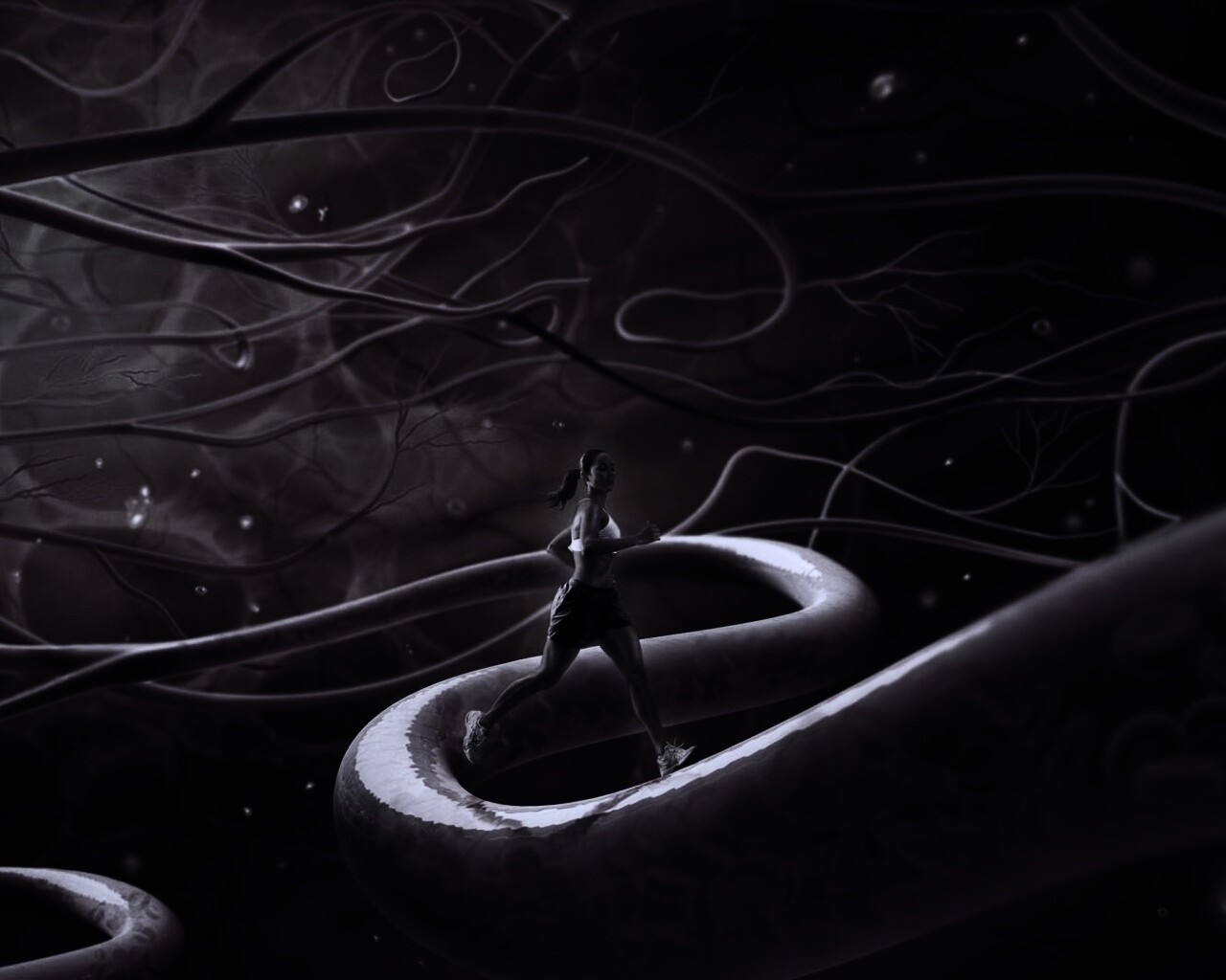 Бег крови обои