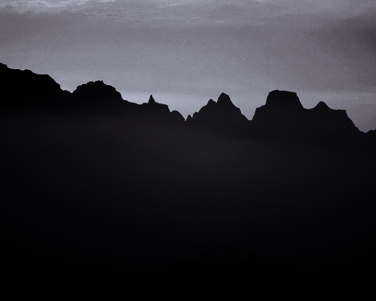 Вечер в национальном парке обои