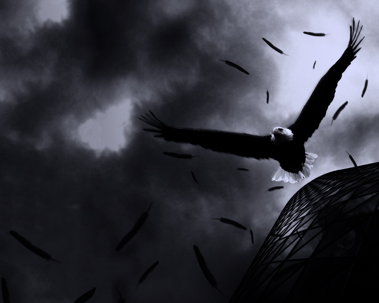 Орлиный полет обои