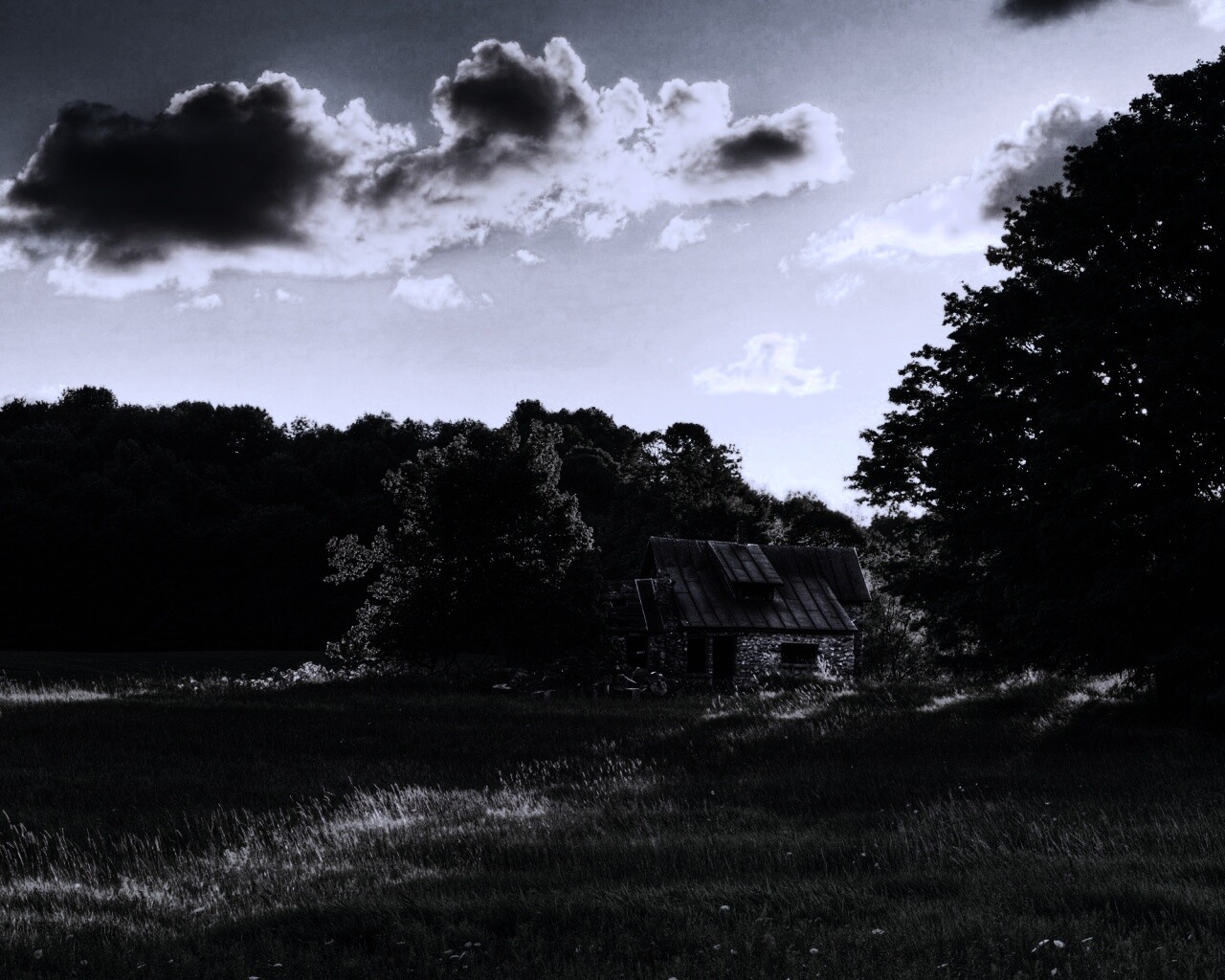 Домик в лесу обои