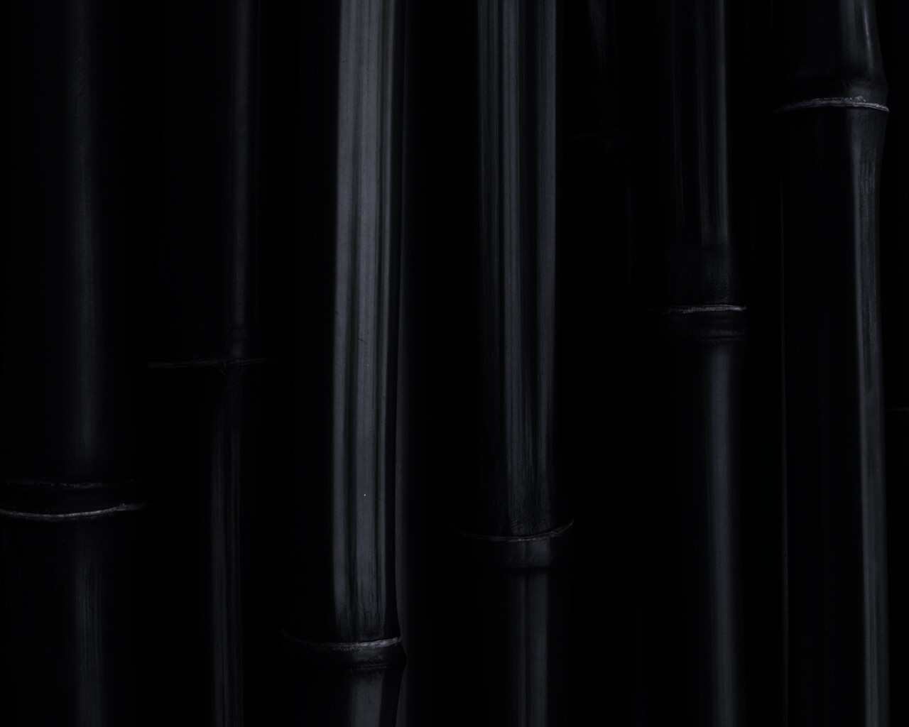 Бамбуковая роща обои